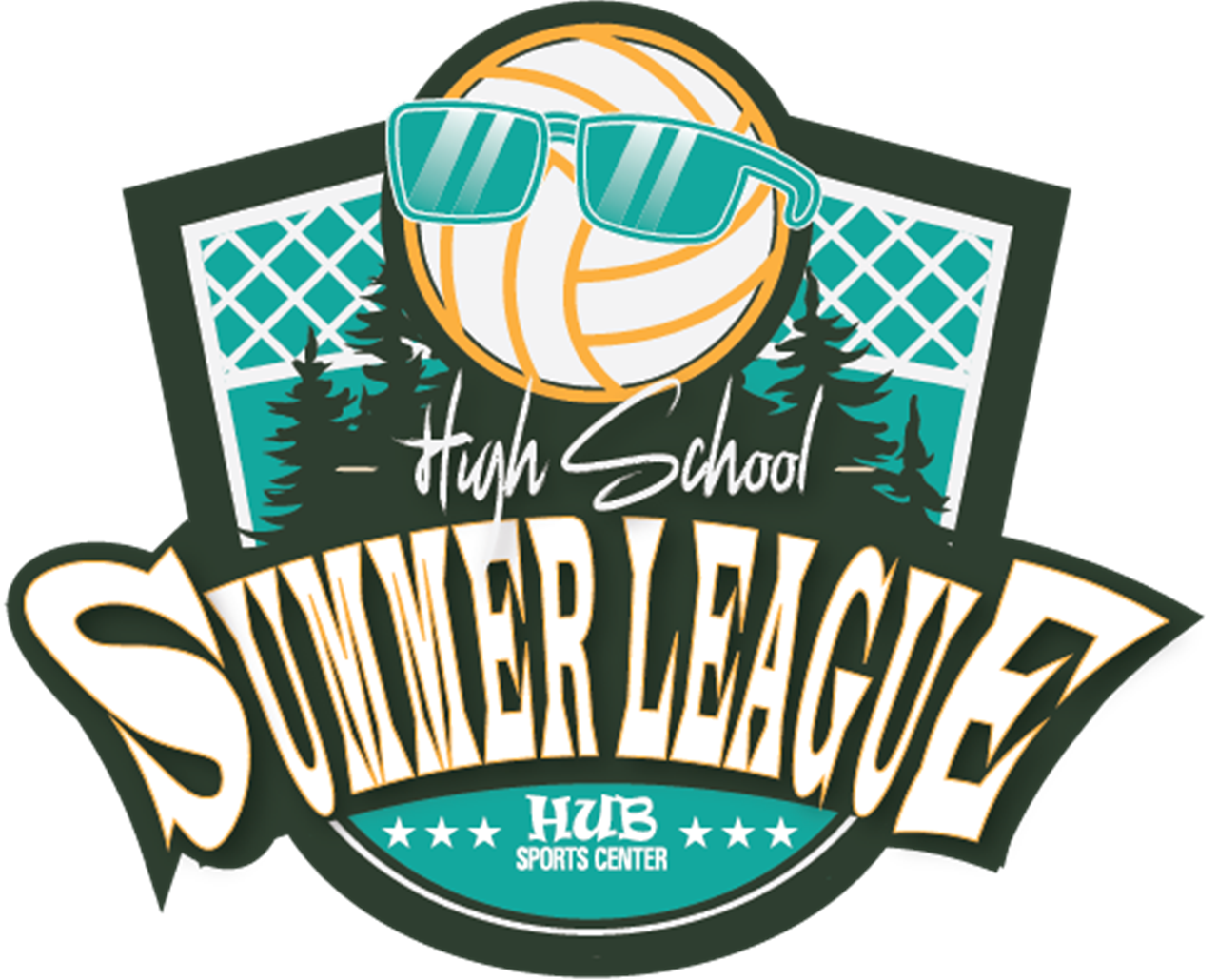 HS Summer Volleyball League 2024