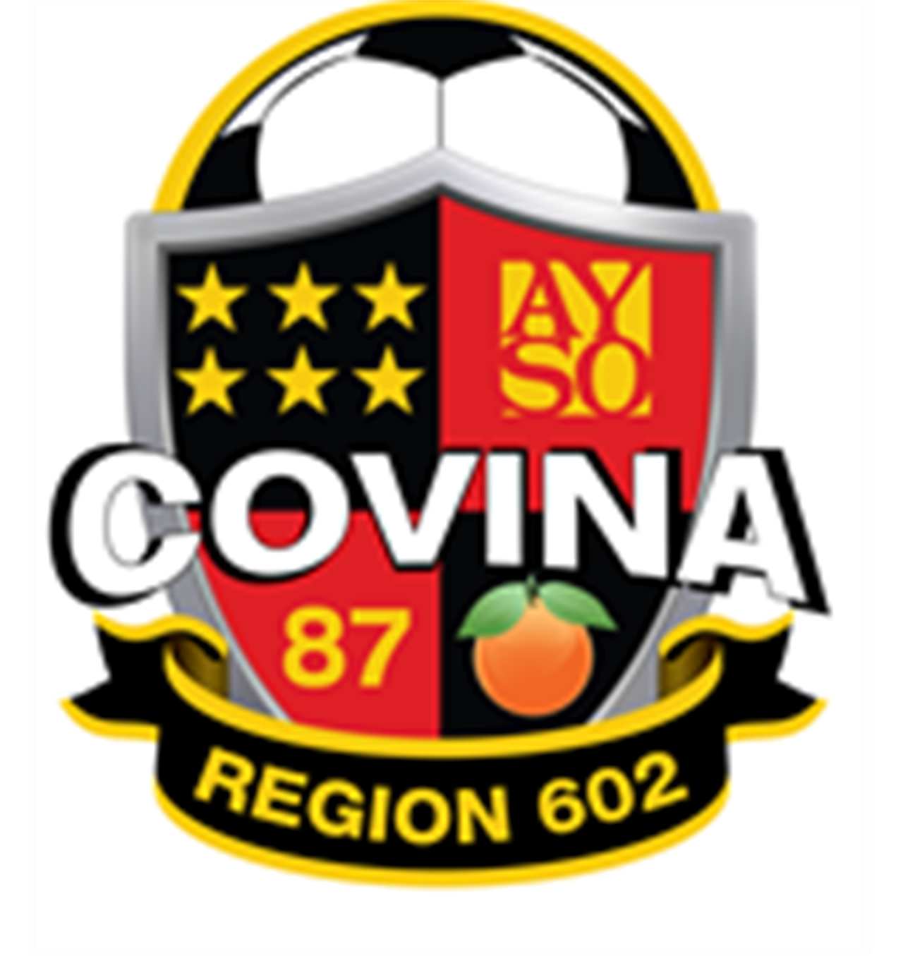 AYSO 602 Covina International Soccer Camp