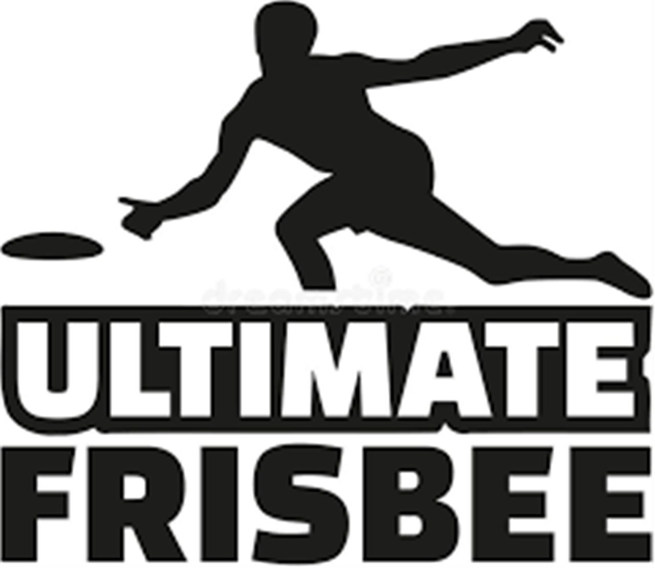 2024 Ultimate Frisbee Tournament