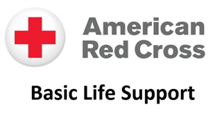 Red Cross BLS CPR Part 2: Skills Session 11/2/24 Rockaway NJ 9am