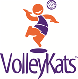 3s VolleyKats