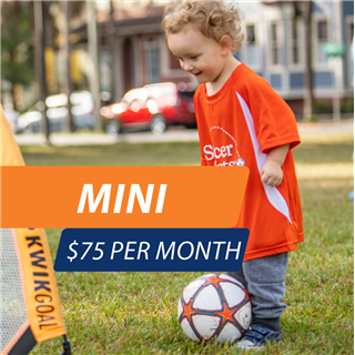 Scripps Ranch Community Park - Mini (2-3 Years Old)