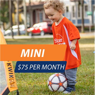 Morley Field Sports Complex - Mini (2-3 Years Old)