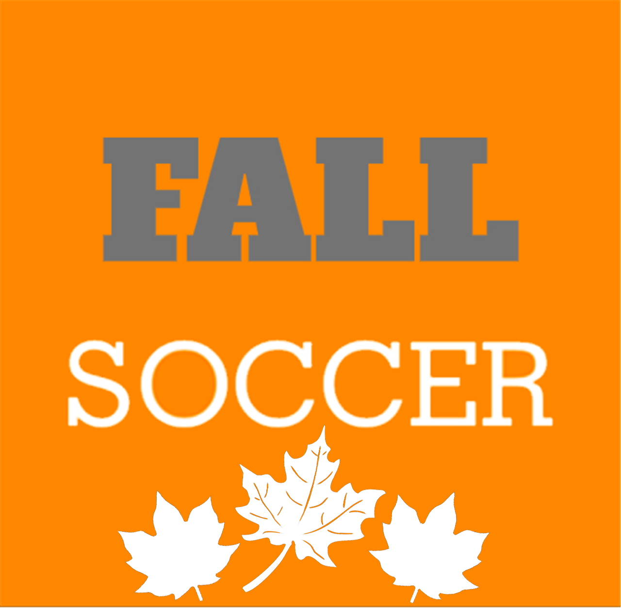 2e2 m3k carl rd BELMONT/GASTONIA: SGCSA/North Belmont Park | 2-3½ year olds!