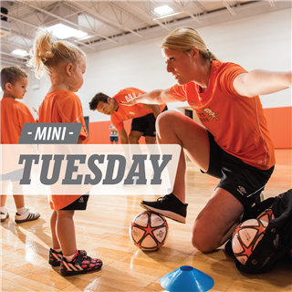 Milton - Leisure Centre - Tuesday Indoor - MINI FALL