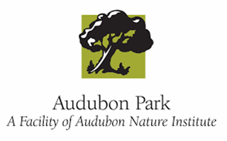Audubon Park - Fall 2024 - Saturday- 2 year olds (8:00am)