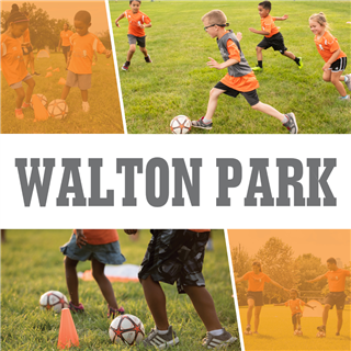 Walton Park Neighborhood Fall 2024 (November start) (4:30pm- Mini)