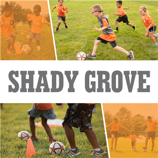 Shady Grove Elementary Fall 2024 (November start) (4:30pm- Classic)