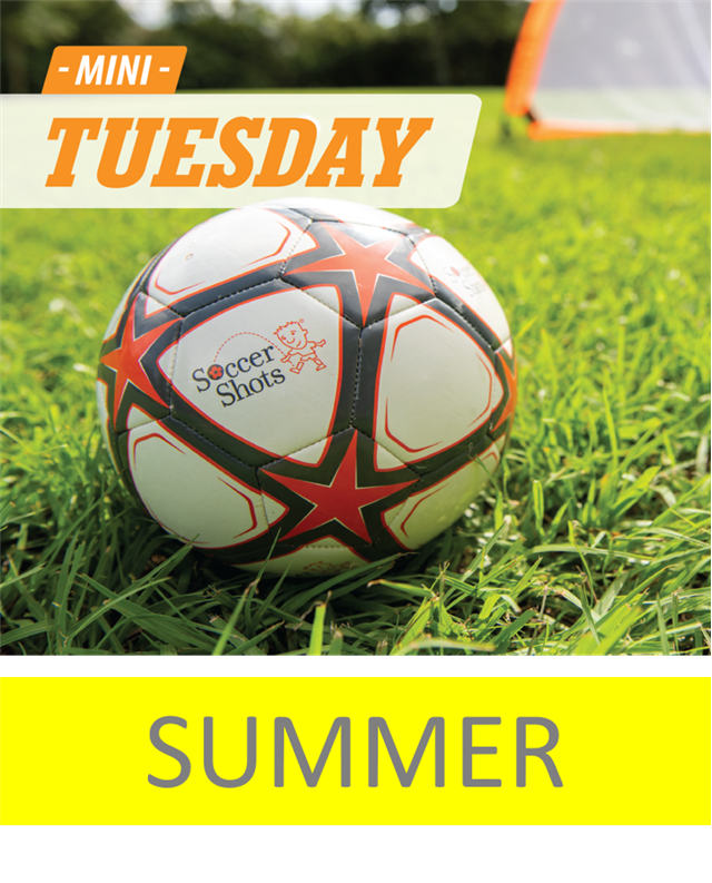 Ardsley VE Macy Park Summer 2023 August Tuesday & Thursday Evenings