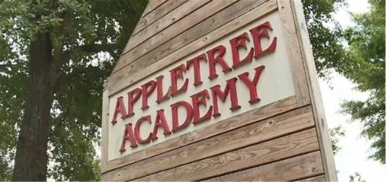 *Apple Tree Academy 3 Classic (3.55 years old) SUMMER