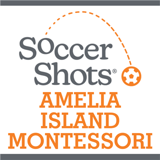 Amelia Island Montessori 2024-25